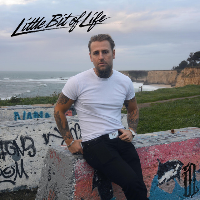 Little Bit of Life