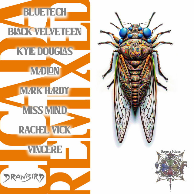 Electronomicon - Bluetech Remix album art