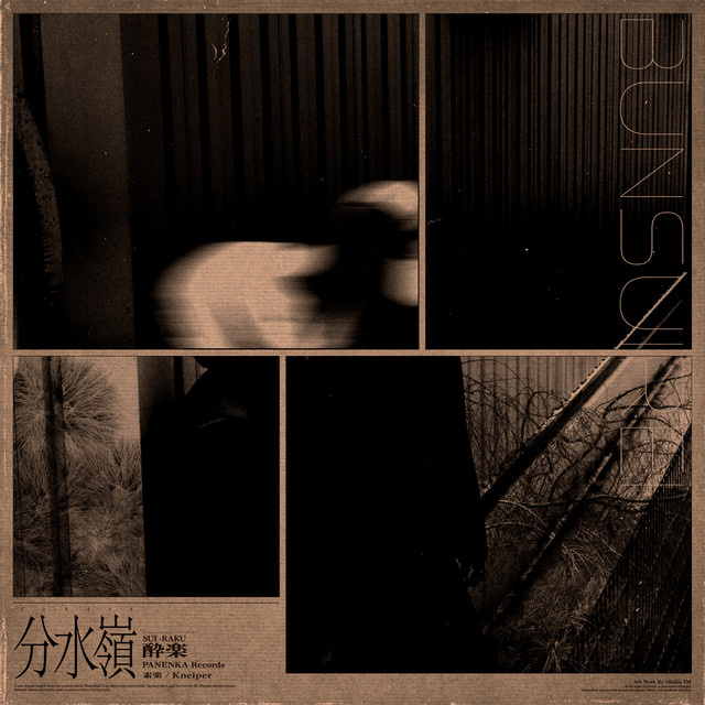 Ameba cover art