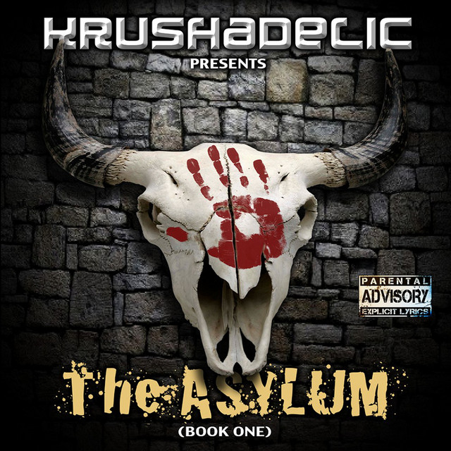 The Asylum (Book one) cover art