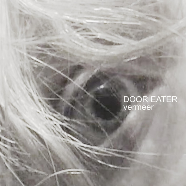 vermeer cover art