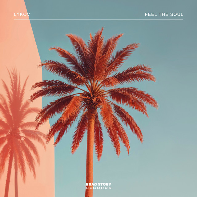 Feel the Soul cover art