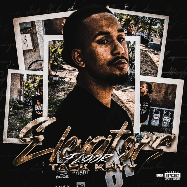 Elevators cover art