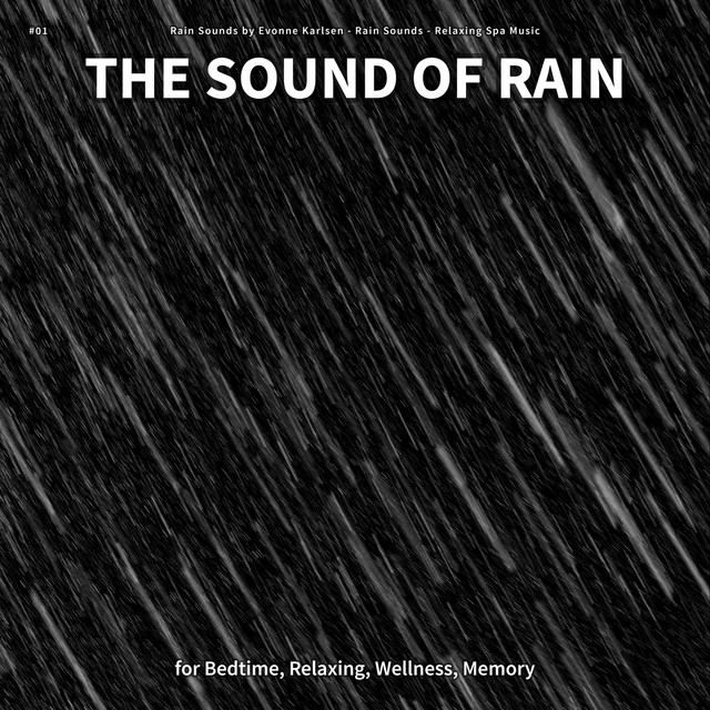 #01 The Sound of Rain for Bedtime, Relaxing, Wellness, Memory cover art
