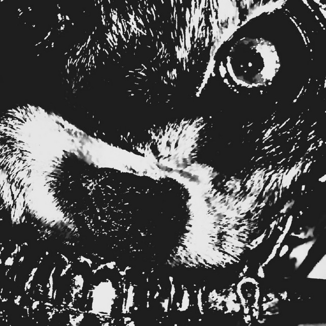 If you´re Happy and you know it, you are Dead cover