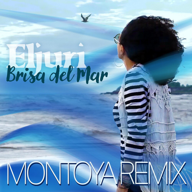 Brisa del Mar (Montoya Remix) album image
