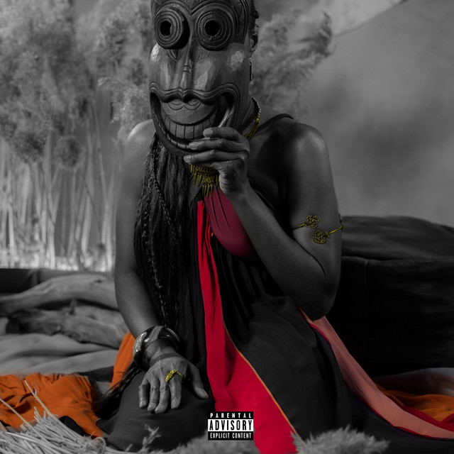 Hip Dislocator cover