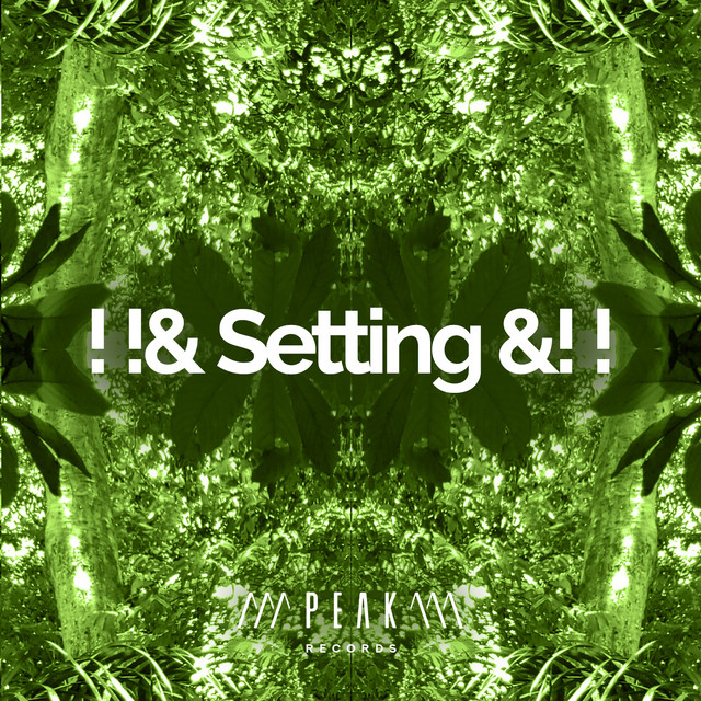 Setting &! ! - Album by Forest Sounds | Spotify