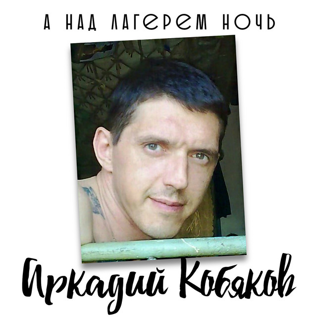 А над лагерем ночь cover art