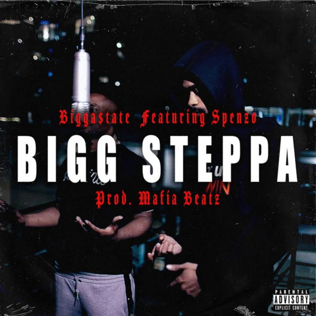 BIGG STEPPA