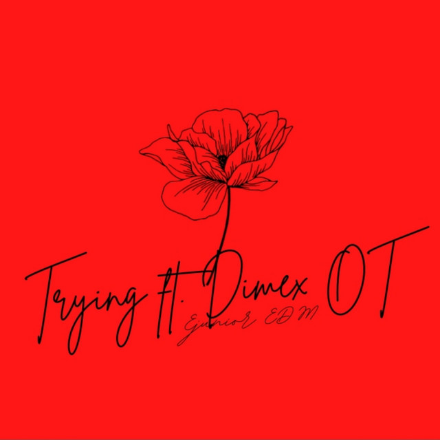 Trying cover art