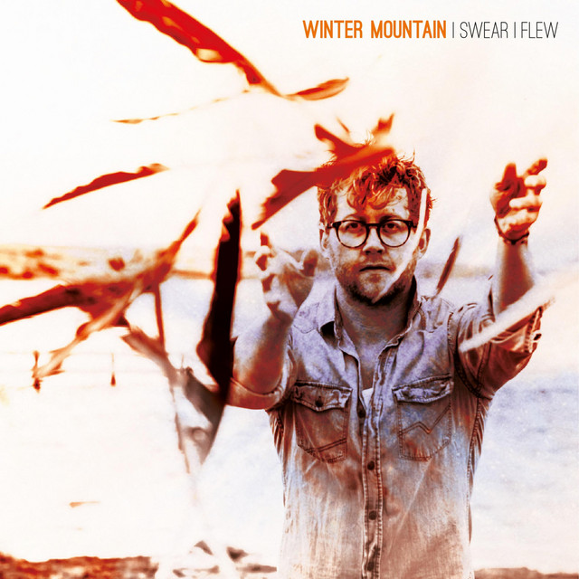 I Swear I Flew cover art