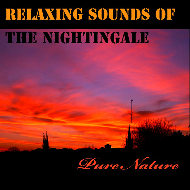Pur Nature Photo