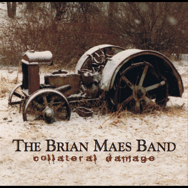 The Brian Maes Band