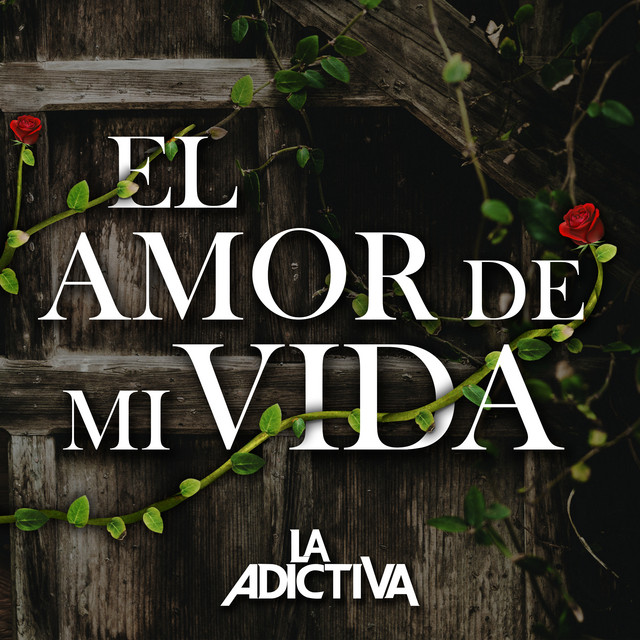 El Amor de Mi Vida