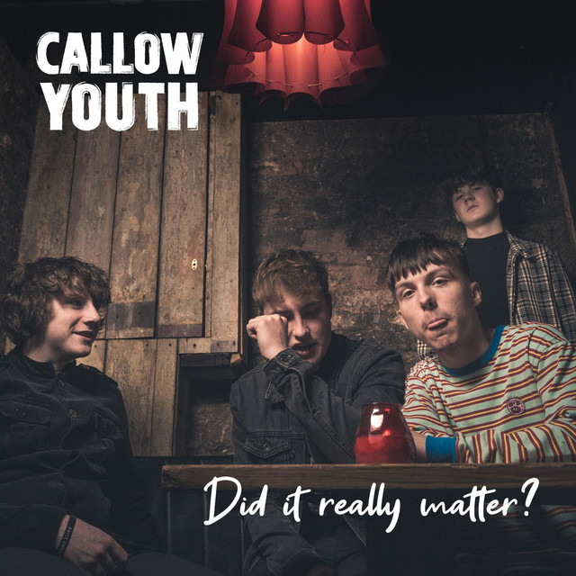 Did It Really Matter? cover