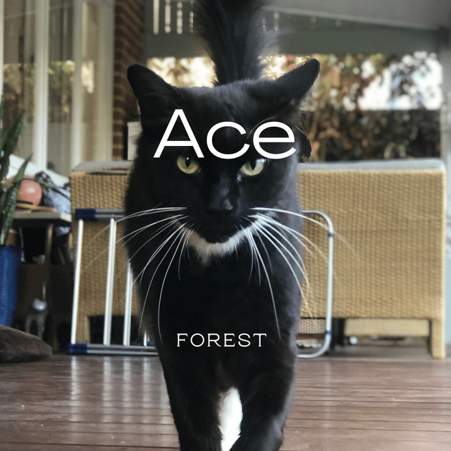 Ace cover art