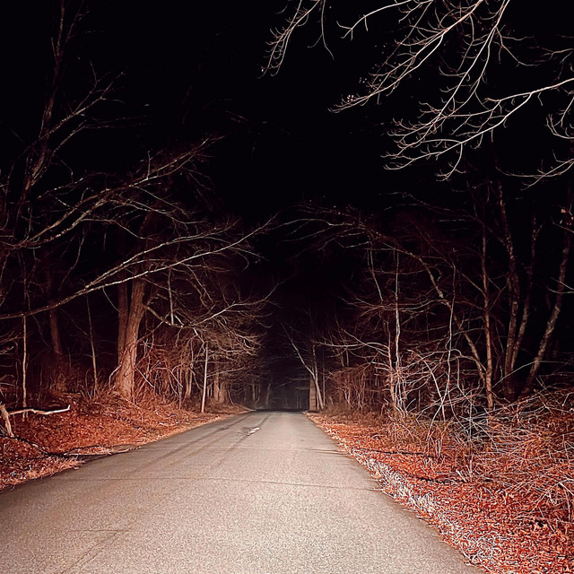 Lost cover art