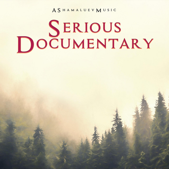 Обкладинка: Serious Documentary — AShamaluevMusic