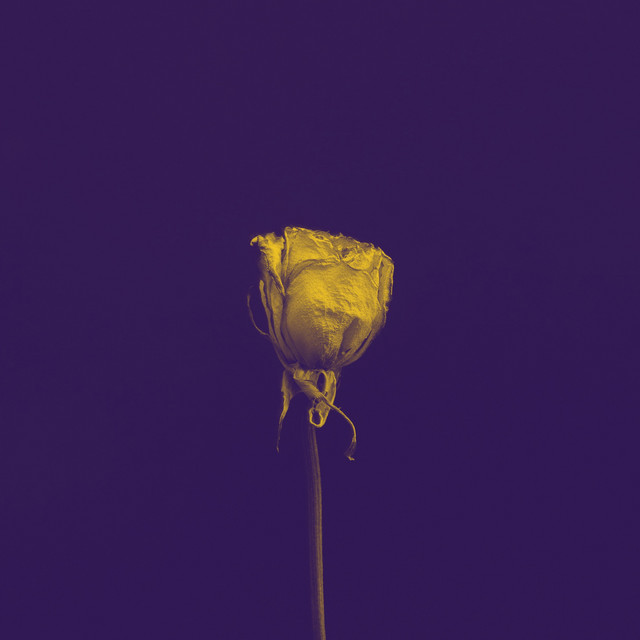 Bleeding Love cover art