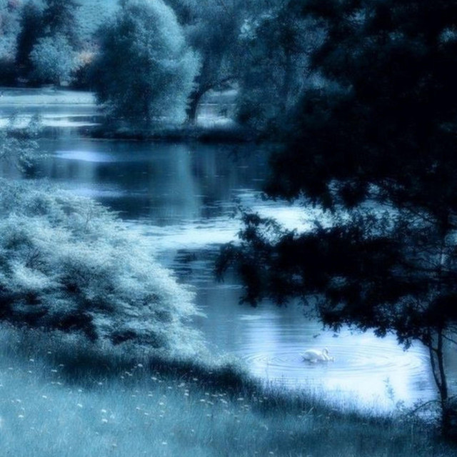 Cold and Warm in Winter cover art