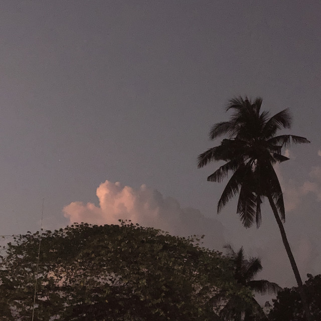Pink Night (feat.Graviton) cover art