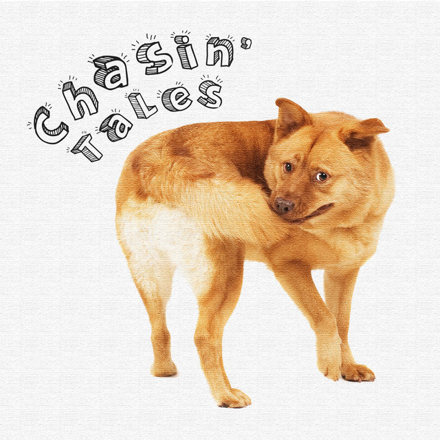 Stray Dogs photo