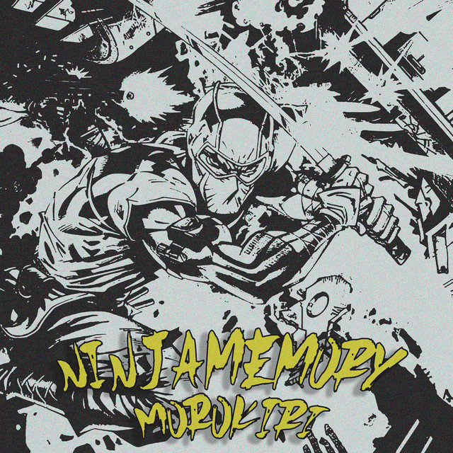 Ninja Memory cover art
