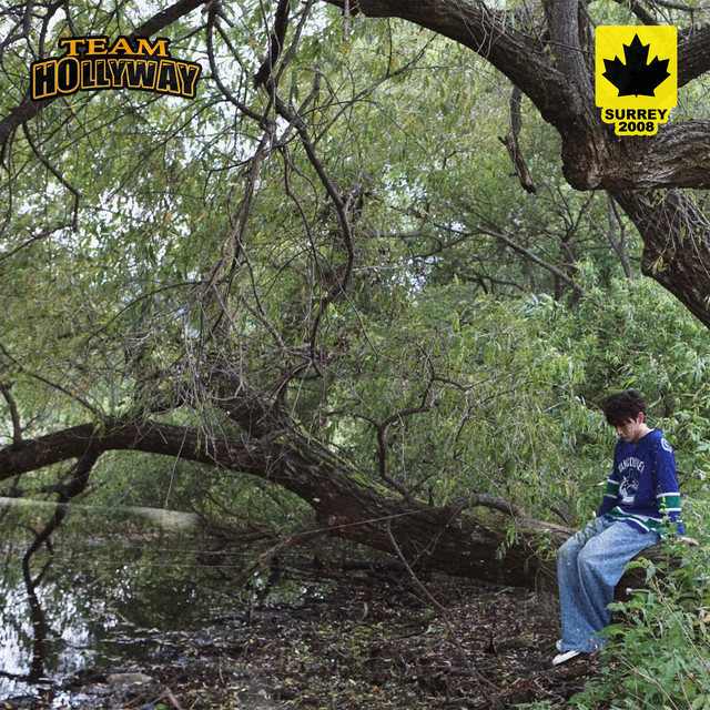 SURREY 2008 cover art