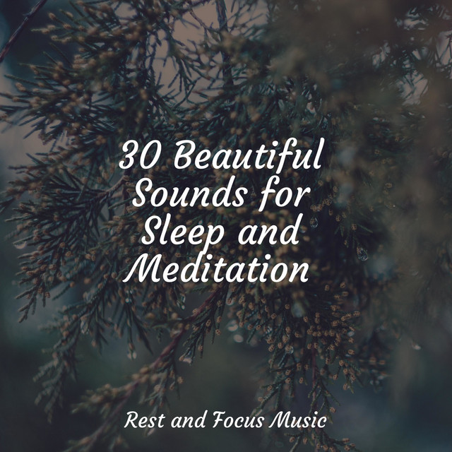 30 Beautiful Sounds for Sleep and Meditation - Album by Ambiente | Spotify