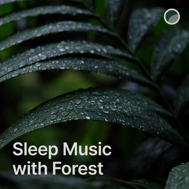 Sleep Music with Forest by Slumberjacks