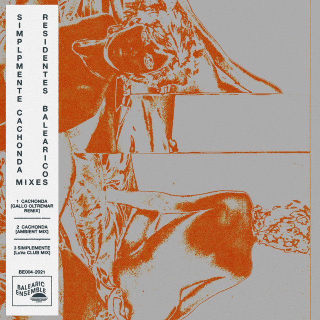 Simplemente Cachonda MIXES cover art