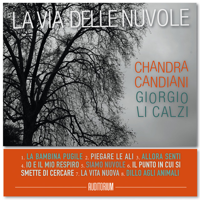 La bambina pugile cover art