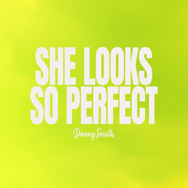 She Looks So Perfect cover