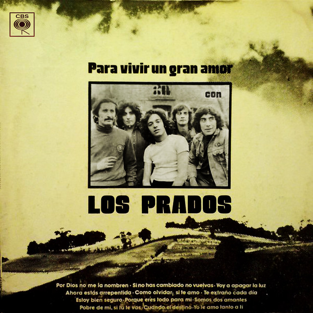 Para Vivir un Gran Amor