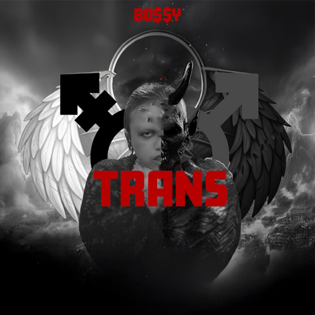 Trans cover art