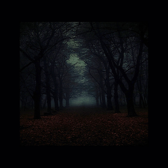 Autumn II cover art