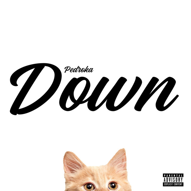 Down cover art