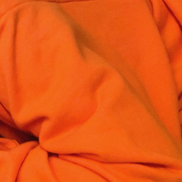 Orange Hoodie cover