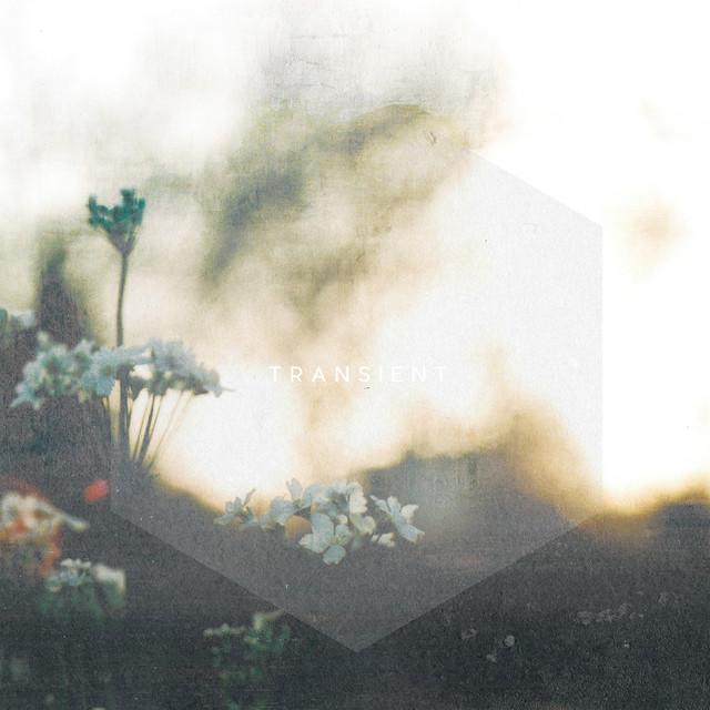 Transient cover art