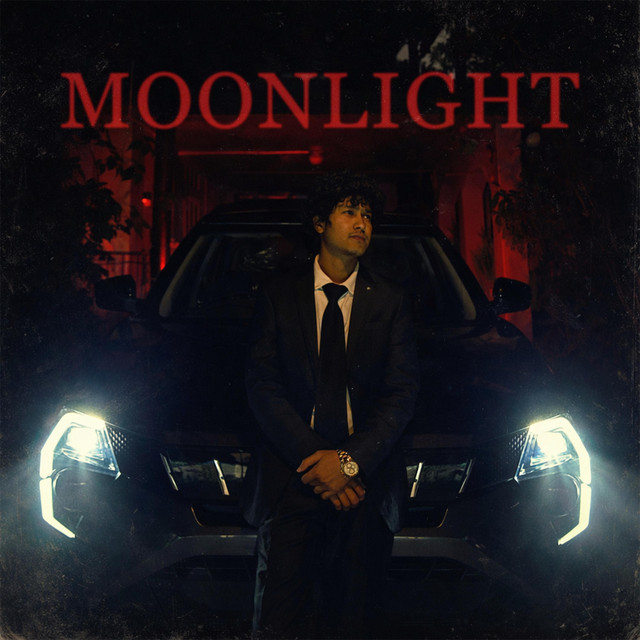 Moonlight into the 【新品未開封】Darkness