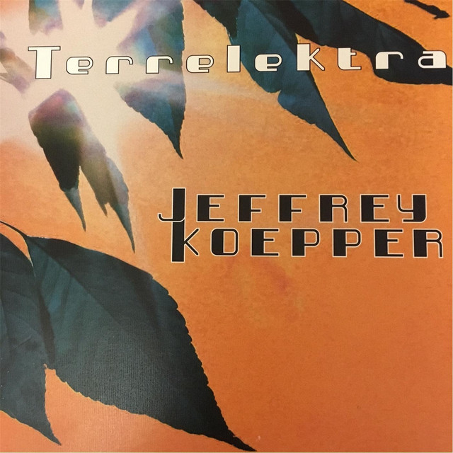 Terrelektra cover art