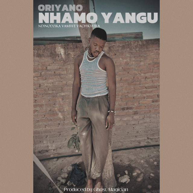 Nhamo Yangu cover art