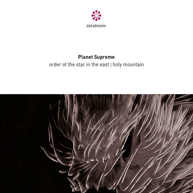 Order of the Star in the East / Holy Mountain cover art