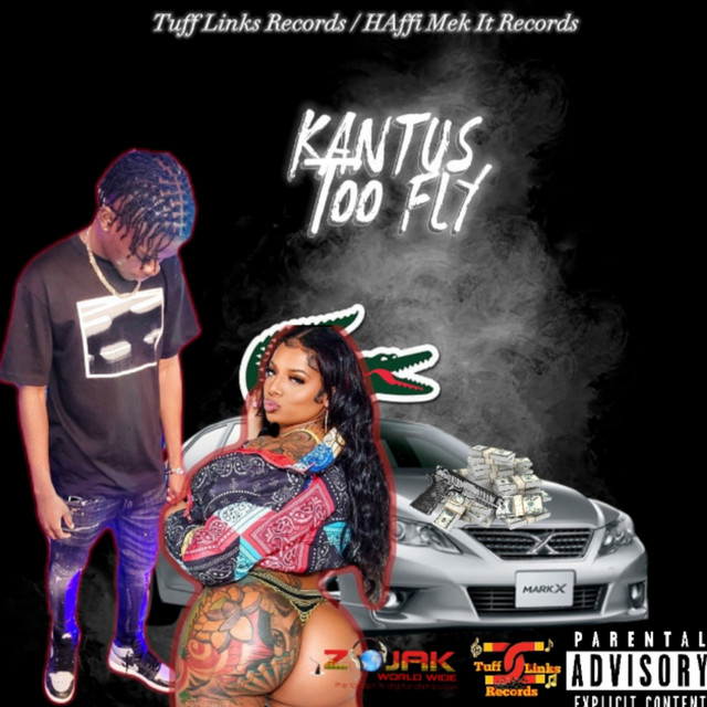 Too Fly cover art