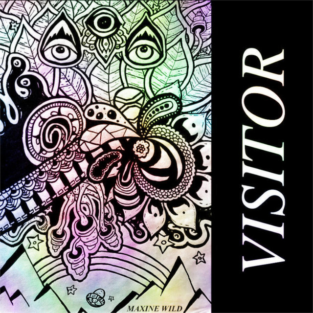 Visitor cover art