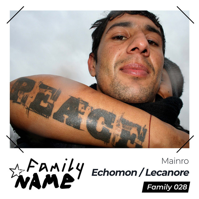 Echomon / Lecanor cover art