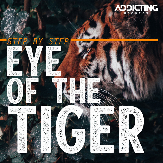 Eye Of The Tiger - Radio Edit