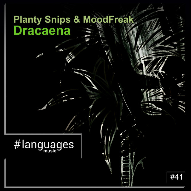 Dracaena album art