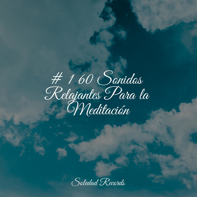# 1 60 Sonidos Relajantes Para la Meditación